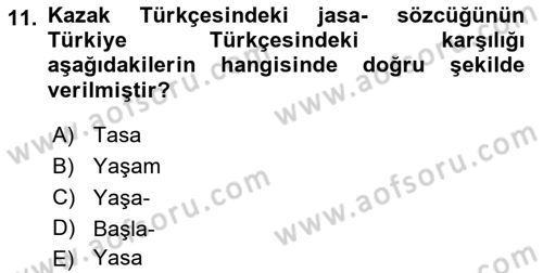 Çağdaş Türk Yazı Dilleri 2 Dersi 2025 - 2026 Yılı Yaz Okulu Sınav Soruları 11. Soru