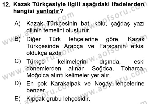 Çağdaş Türk Yazı Dilleri 2 Dersi 2025 - 2026 Yılı Yaz Okulu Sınav Soruları 12. Soru