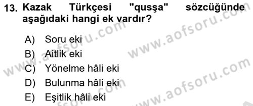 Çağdaş Türk Yazı Dilleri 2 Dersi 2025 - 2026 Yılı Yaz Okulu Sınav Soruları 13. Soru