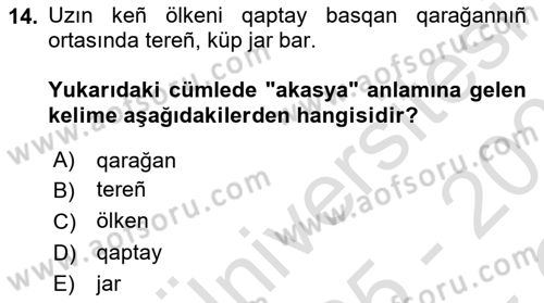 Çağdaş Türk Yazı Dilleri 2 Dersi 2025 - 2026 Yılı Yaz Okulu Sınav Soruları 14. Soru