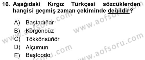 Çağdaş Türk Yazı Dilleri 2 Dersi 2025 - 2026 Yılı Yaz Okulu Sınav Soruları 16. Soru