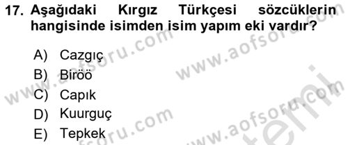 Çağdaş Türk Yazı Dilleri 2 Dersi 2025 - 2026 Yılı Yaz Okulu Sınav Soruları 17. Soru