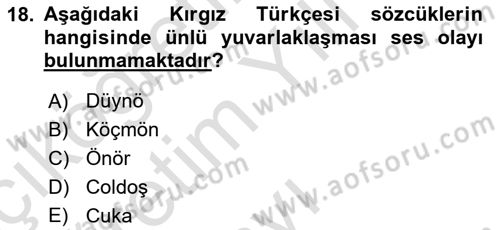Çağdaş Türk Yazı Dilleri 2 Dersi 2025 - 2026 Yılı Yaz Okulu Sınav Soruları 18. Soru
