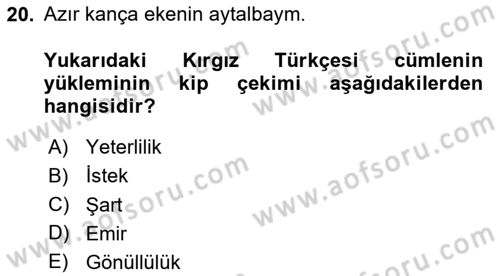 Çağdaş Türk Yazı Dilleri 2 Dersi 2025 - 2026 Yılı Yaz Okulu Sınav Soruları 20. Soru