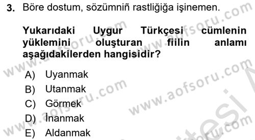 Çağdaş Türk Yazı Dilleri 2 Dersi 2025 - 2026 Yılı Yaz Okulu Sınav Soruları 3. Soru