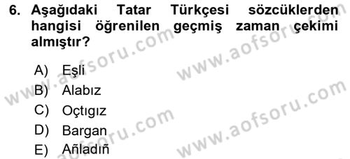 Çağdaş Türk Yazı Dilleri 2 Dersi 2025 - 2026 Yılı Yaz Okulu Sınav Soruları 6. Soru