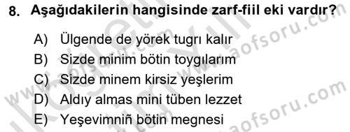 Çağdaş Türk Yazı Dilleri 2 Dersi 2025 - 2026 Yılı Yaz Okulu Sınav Soruları 8. Soru