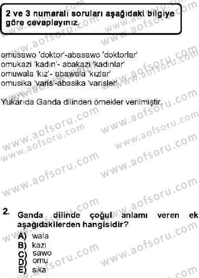 Genel Dilbilim 1 Dersi Ara Sınavı Deneme Sınav Soruları 2. Soru