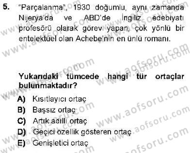 Genel Dilbilim 1 Dersi 2012 - 2013 Yılı (Final) Dönem Sonu Sınav Soruları 5. Soru