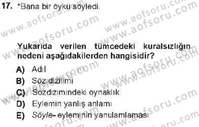 Genel Dilbilim 1 Dersi 2012 - 2013 Yılı Tek Ders Sınav Soruları 17. Soru
