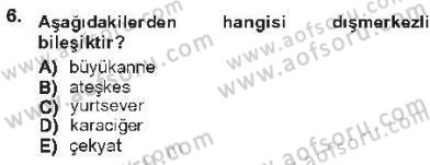 Genel Dilbilim 1 Dersi 2012 - 2013 Yılı Tek Ders Sınav Soruları 6. Soru