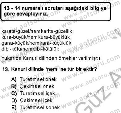 Genel Dilbilim 1 Dersi Ara Sınavı Deneme Sınav Soruları 13. Soru