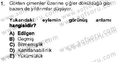 Genel Dilbilim 1 Dersi 2013 - 2014 Yılı (Final) Dönem Sonu Sınav Soruları 1. Soru