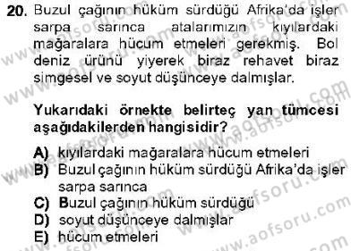 Genel Dilbilim 1 Dersi 2013 - 2014 Yılı (Final) Dönem Sonu Sınav Soruları 20. Soru