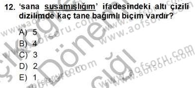 Genel Dilbilim 1 Dersi Ara Sınavı Deneme Sınav Soruları 12. Soru