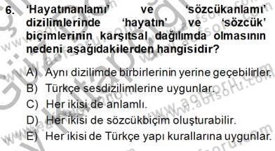 Genel Dilbilim 1 Dersi 2014 - 2015 Yılı (Vize) Ara Sınav Soruları 6. Soru