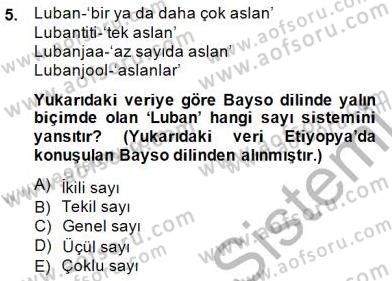 Genel Dilbilim 1 Dersi 2014 - 2015 Yılı (Final) Dönem Sonu Sınav Soruları 5. Soru