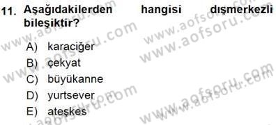 Genel Dilbilim 1 Dersi 2015 - 2016 Yılı (Vize) Ara Sınav Soruları 11. Soru