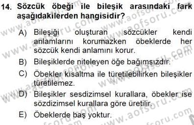 Genel Dilbilim 1 Dersi 2015 - 2016 Yılı (Vize) Ara Sınav Soruları 14. Soru