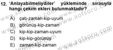 Genel Dilbilim 1 Dersi 2015 - 2016 Yılı (Final) Dönem Sonu Sınav Soruları 12. Soru