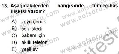 Genel Dilbilim 1 Dersi 2015 - 2016 Yılı (Final) Dönem Sonu Sınav Soruları 13. Soru