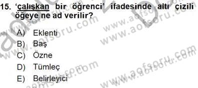 Genel Dilbilim 1 Dersi 2015 - 2016 Yılı (Final) Dönem Sonu Sınav Soruları 15. Soru