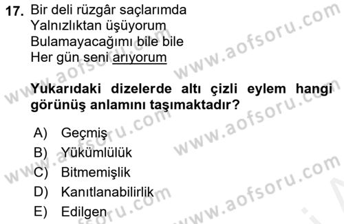 Genel Dilbilim 1 Dersi 2016 - 2017 Yılı (Final) Dönem Sonu Sınav Soruları 17. Soru