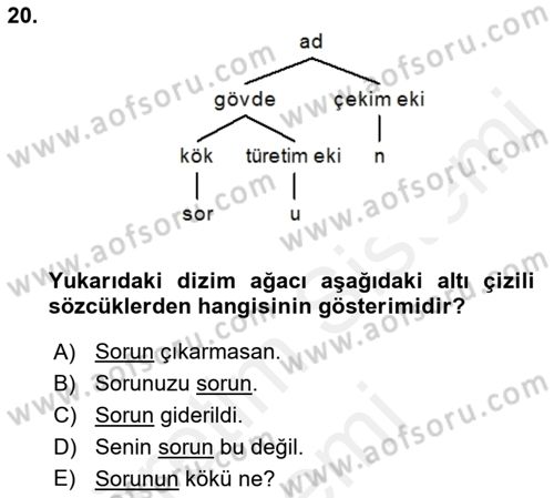 Genel Dilbilim 1 Dersi 2016 - 2017 Yılı (Final) Dönem Sonu Sınav Soruları 20. Soru