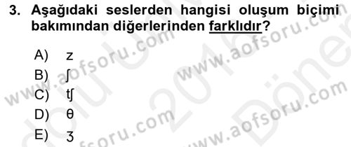 Genel Dilbilim 1 Dersi 2016 - 2017 Yılı (Final) Dönem Sonu Sınav Soruları 3. Soru