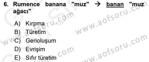 Genel Dilbilim 1 Dersi 2016 - 2017 Yılı (Final) Dönem Sonu Sınav Soruları 6. Soru
