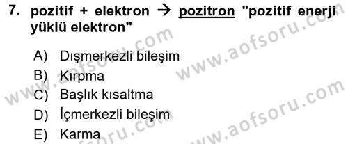 Genel Dilbilim 1 Dersi 2016 - 2017 Yılı (Final) Dönem Sonu Sınav Soruları 7. Soru