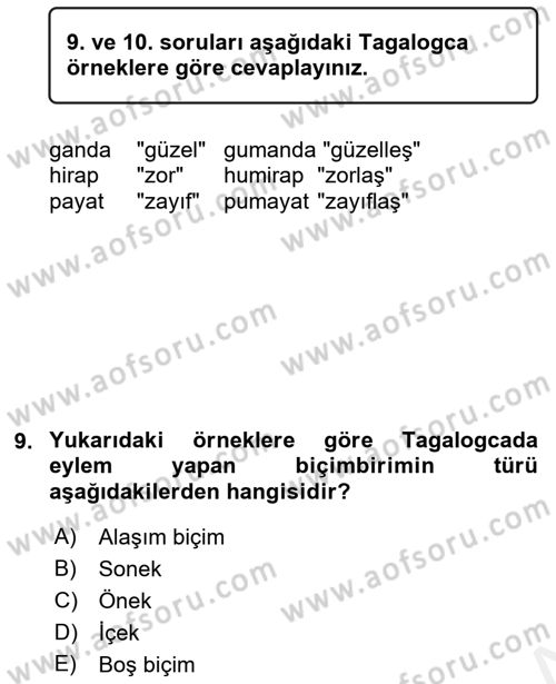 Genel Dilbilim 1 Dersi 2016 - 2017 Yılı (Final) Dönem Sonu Sınav Soruları 9. Soru