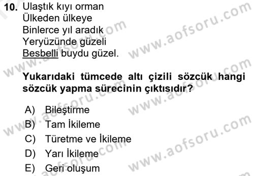 Genel Dilbilim 1 Dersi 2017 - 2018 Yılı 3 Ders Sınav Soruları 10. Soru