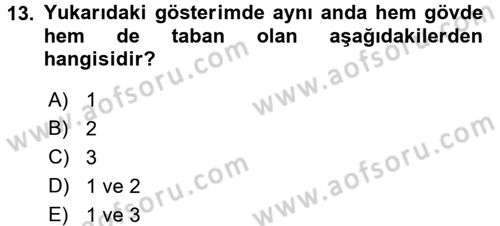 Genel Dilbilim 1 Dersi 2017 - 2018 Yılı 3 Ders Sınav Soruları 13. Soru