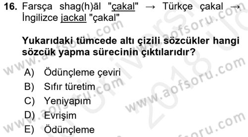 Genel Dilbilim 1 Dersi 2017 - 2018 Yılı 3 Ders Sınav Soruları 16. Soru