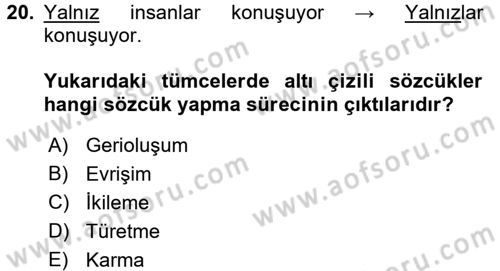 Genel Dilbilim 1 Dersi 2017 - 2018 Yılı 3 Ders Sınav Soruları 20. Soru