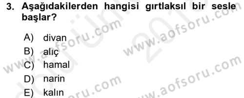 Genel Dilbilim 1 Dersi 2017 - 2018 Yılı 3 Ders Sınav Soruları 3. Soru
