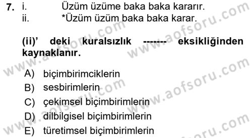 Genel Dilbilim 1 Dersi 2017 - 2018 Yılı 3 Ders Sınav Soruları 7. Soru