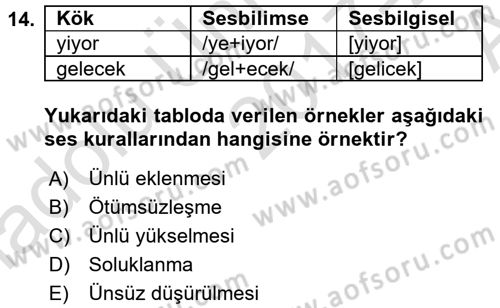 Genel Dilbilim 1 Dersi Ara Sınavı Deneme Sınav Soruları 14. Soru