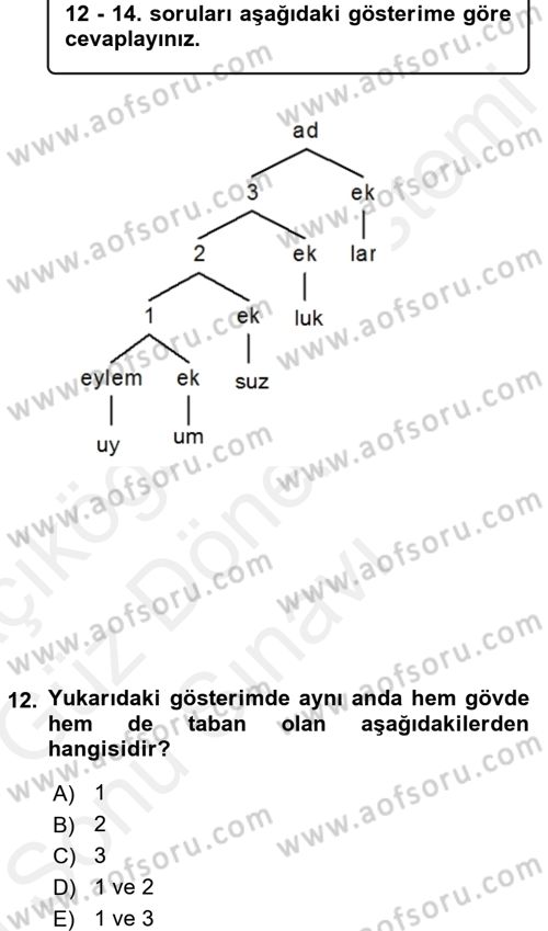 Genel Dilbilim 1 Dersi 2017 - 2018 Yılı (Final) Dönem Sonu Sınav Soruları 12. Soru