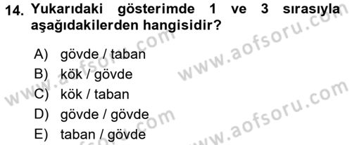 Genel Dilbilim 1 Dersi 2017 - 2018 Yılı (Final) Dönem Sonu Sınav Soruları 14. Soru