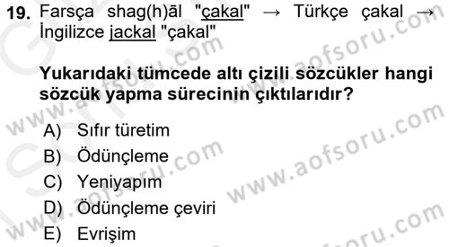 Genel Dilbilim 1 Dersi 2017 - 2018 Yılı (Final) Dönem Sonu Sınav Soruları 19. Soru