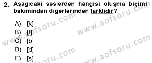 Genel Dilbilim 1 Dersi 2017 - 2018 Yılı (Final) Dönem Sonu Sınav Soruları 2. Soru