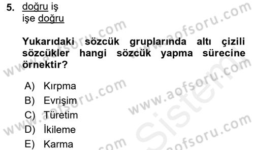 Genel Dilbilim 1 Dersi 2017 - 2018 Yılı (Final) Dönem Sonu Sınav Soruları 5. Soru