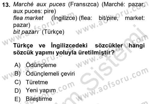Genel Dilbilim 1 Dersi Ara Sınavı Deneme Sınav Soruları 13. Soru