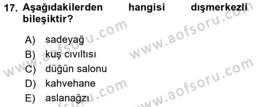 Genel Dilbilim 1 Dersi Ara Sınavı Deneme Sınav Soruları 17. Soru