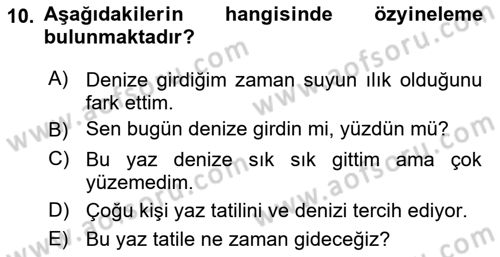 Genel Dilbilim 1 Dersi 2023 - 2024 Yılı (Final) Dönem Sonu Sınav Soruları 10. Soru