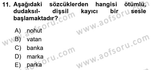 Genel Dilbilim 1 Dersi 2023 - 2024 Yılı (Final) Dönem Sonu Sınavı 11. Soru