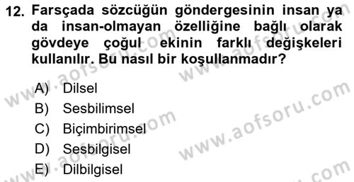 Genel Dilbilim 1 Dersi 2023 - 2024 Yılı (Final) Dönem Sonu Sınav Soruları 12. Soru