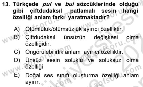 Genel Dilbilim 1 Dersi 2023 - 2024 Yılı (Final) Dönem Sonu Sınav Soruları 13. Soru